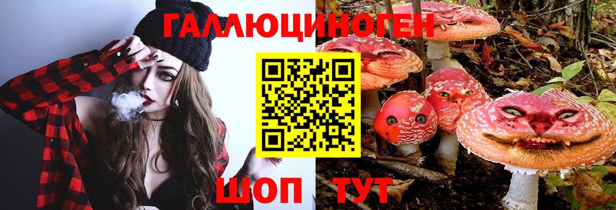 Вязники  Псилоцибиновые грибы Psilocybine cubensis  Псилоцибиновые грибы мицелий  как найти наркотики  Вход с VPN 